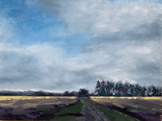 Furrow I